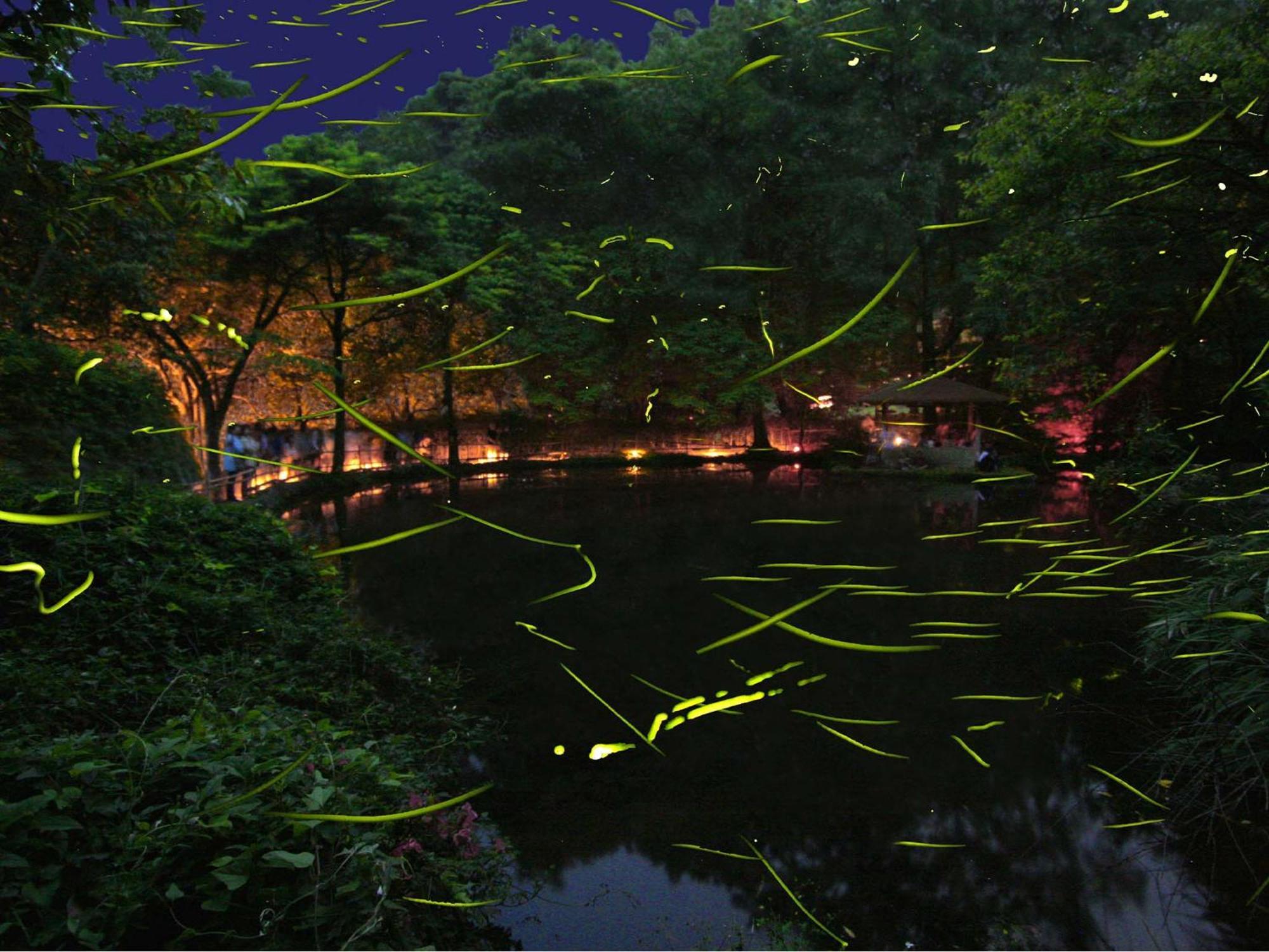Izu Katase Onsen Ayumitei Fukumatsuso Hotel ฮิกาชิอิซุ ภายนอก รูปภาพ